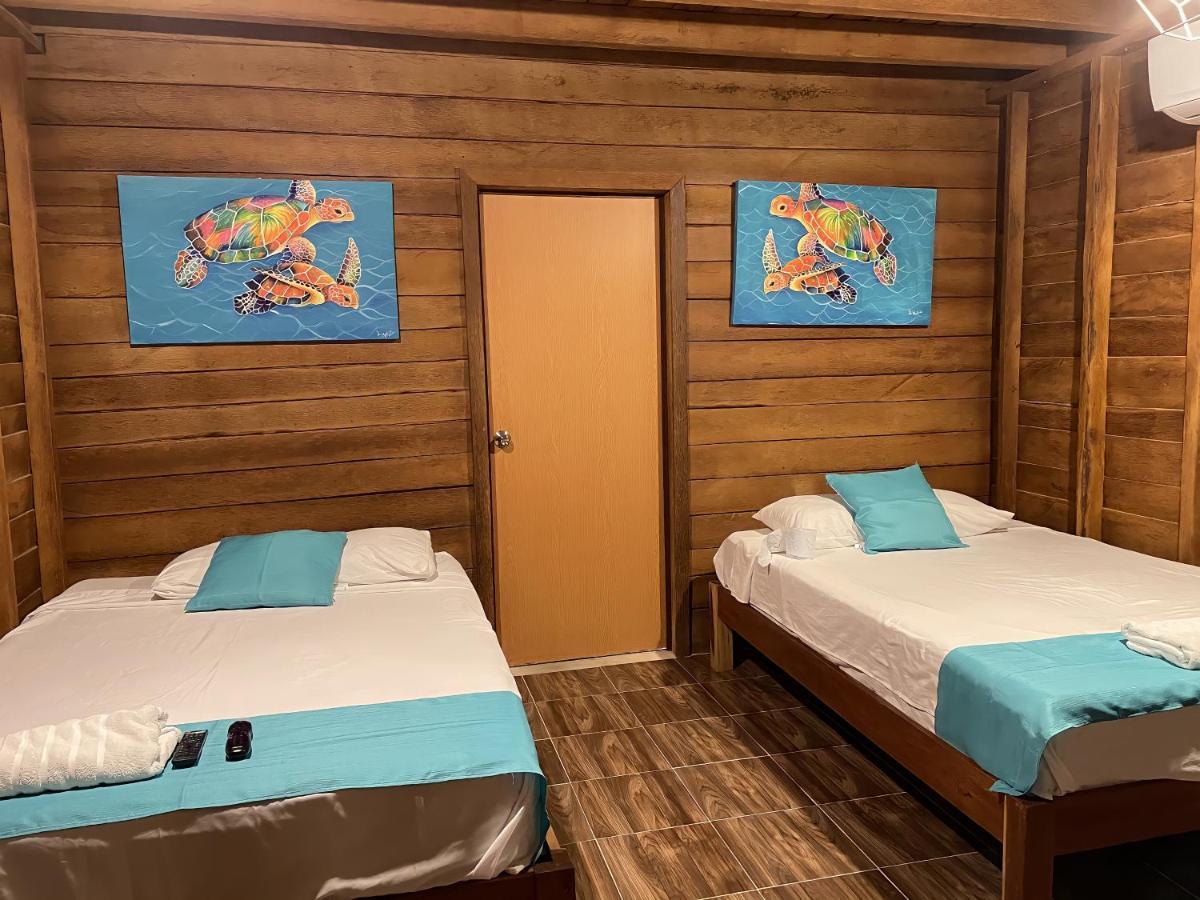 エル・コージョCabana Tortuga A Unos Pasos De La Playaアパートメント エクステリア 写真
